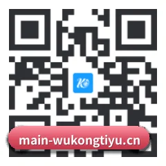 系统版 iOS 二维码